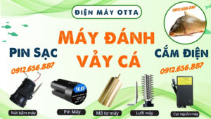 máy đánh vảy cá